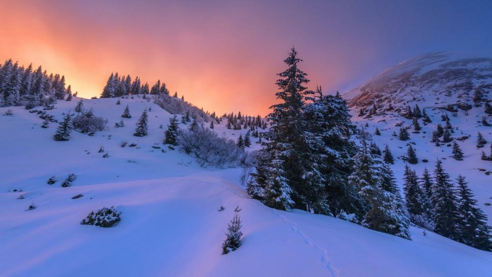 Winter mountains in the sunset wallpaper