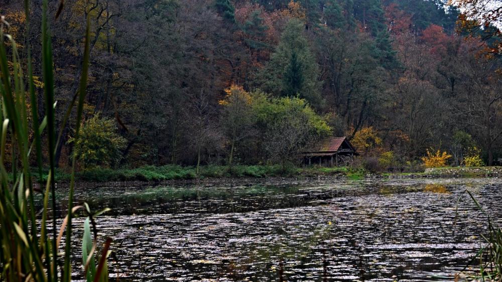 Autumn in Kurim (Czech Republic) wallpaper