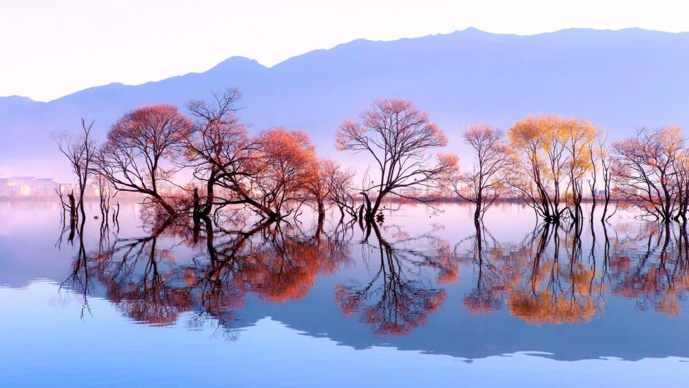 Huanglong Pond redlection (Heqing, China) wallpaper