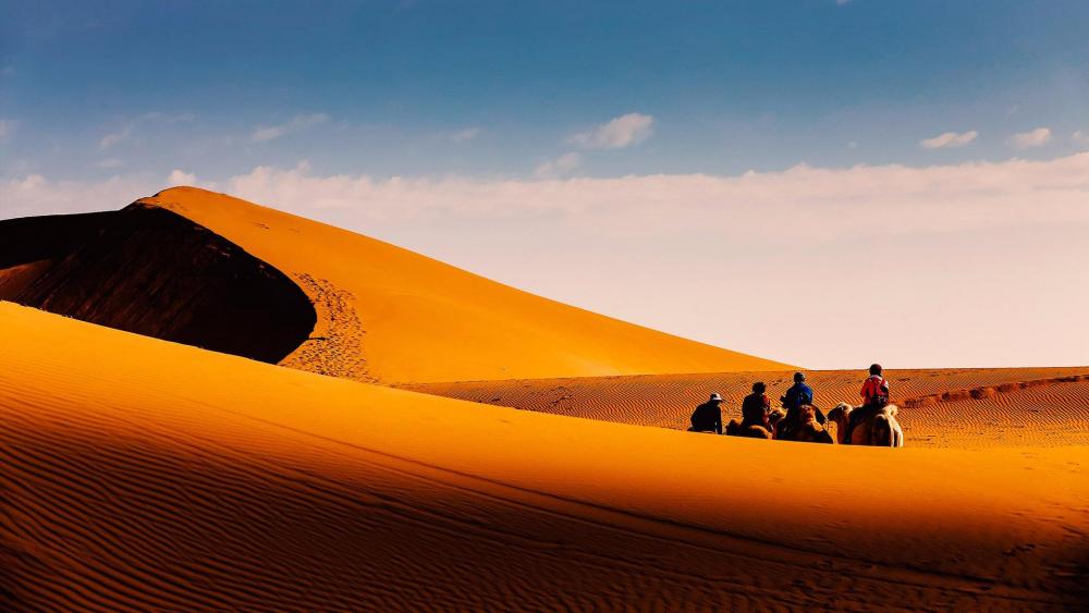 Camel riding in the Tengger desert wallpaper