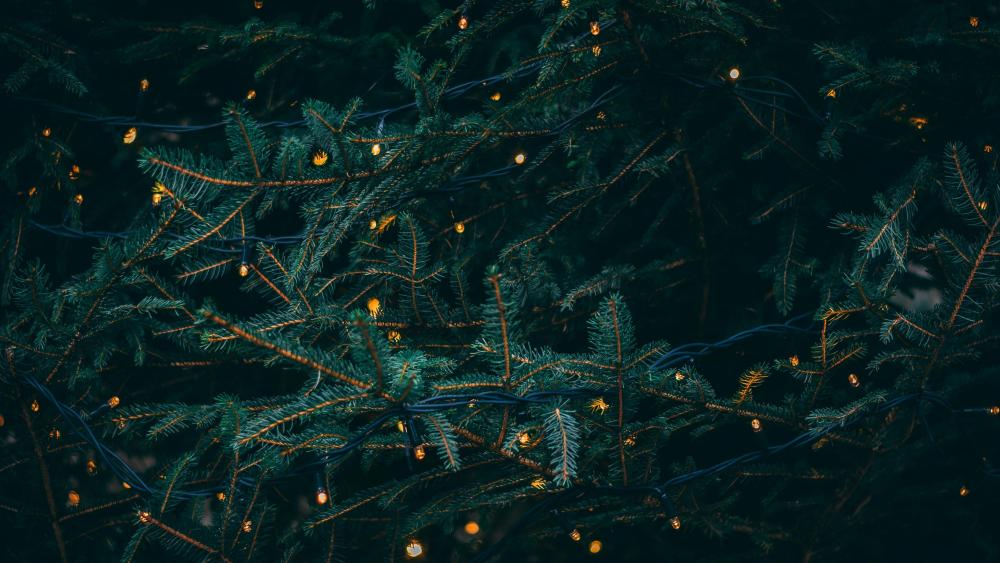 Christmas tree with garland lights wallpaper