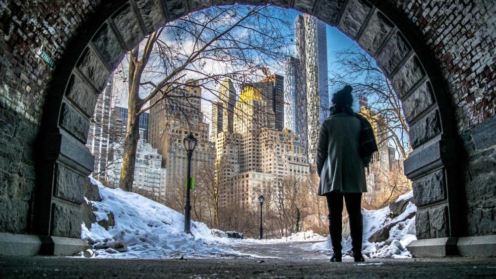 New York from the Central Park in winter wallpaper