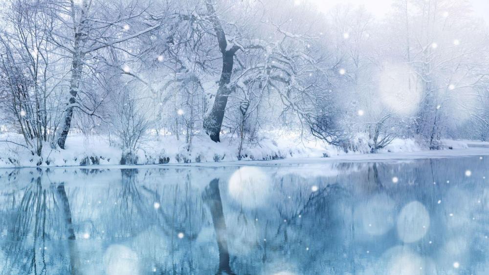 Snowy winter reflection wallpaper