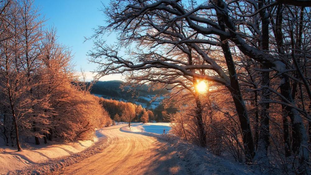 Winter country road wallpaper