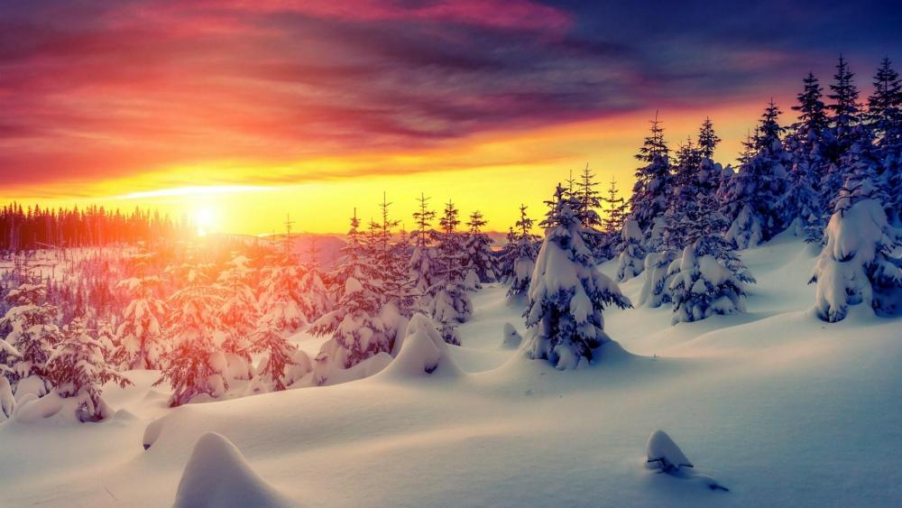 Snowy sunset wallpaper