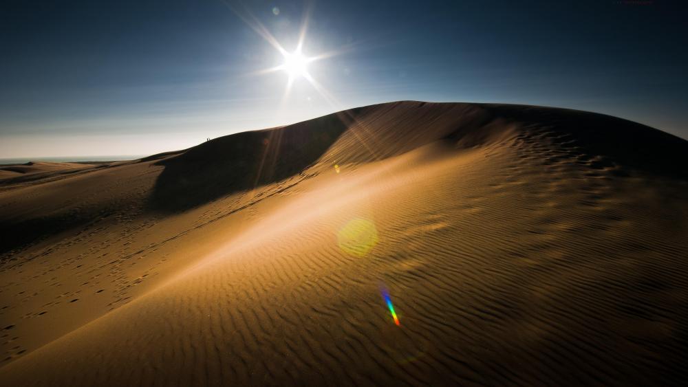 Desert sun wallpaper