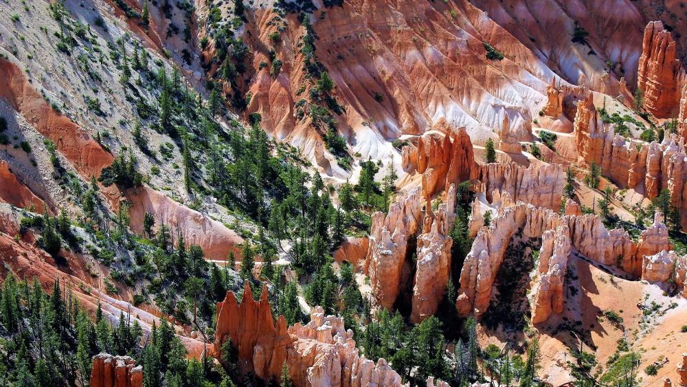 Bryce Canyon National Park wallpaper