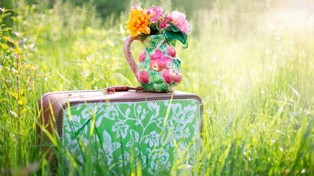 Suitcase in the grass wallpaper
