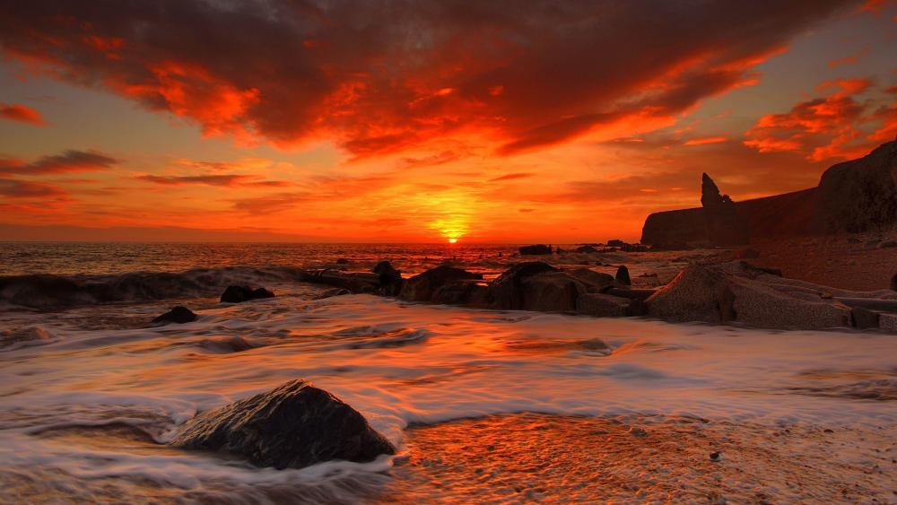 Morning red sky on the beach wallpaper