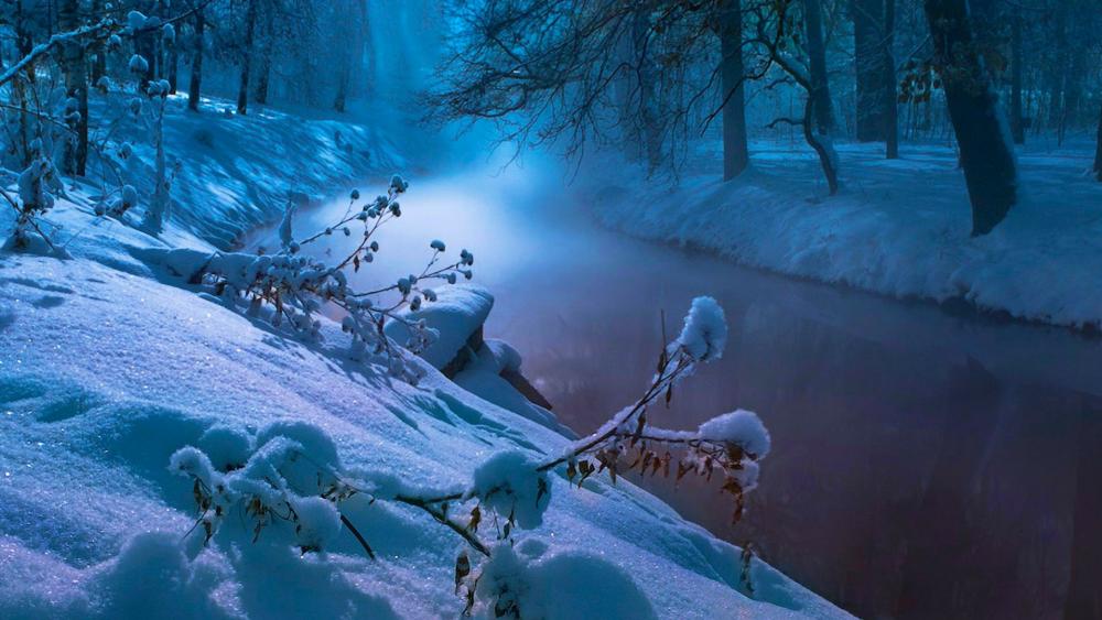 River in the winter forest wallpaper