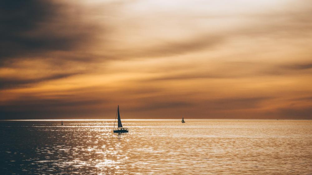 Sailing in the sunset wallpaper