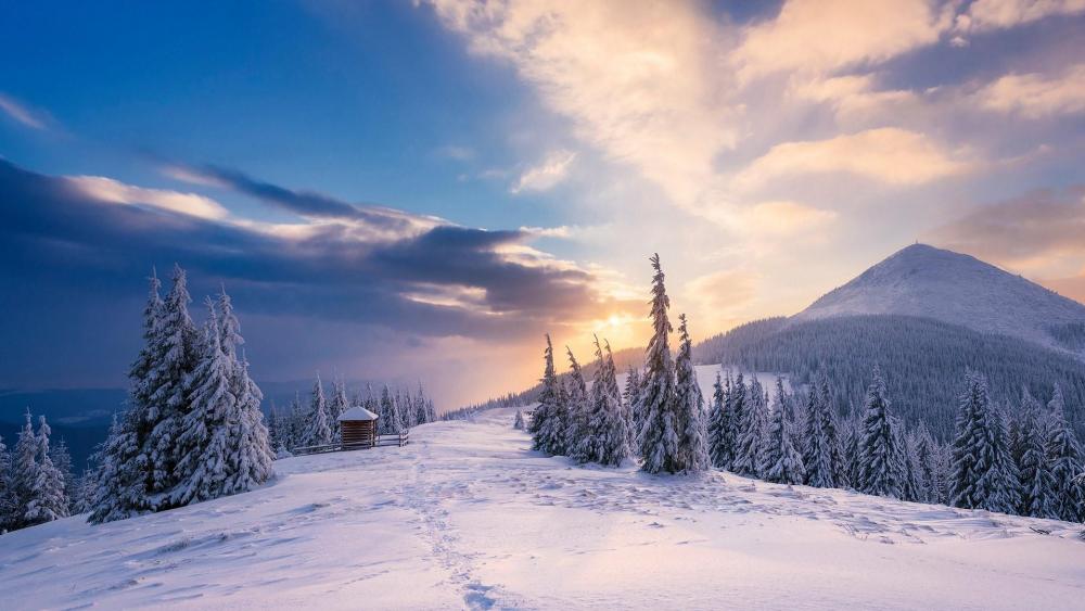 Winter landscape in mountains at dawn wallpaper