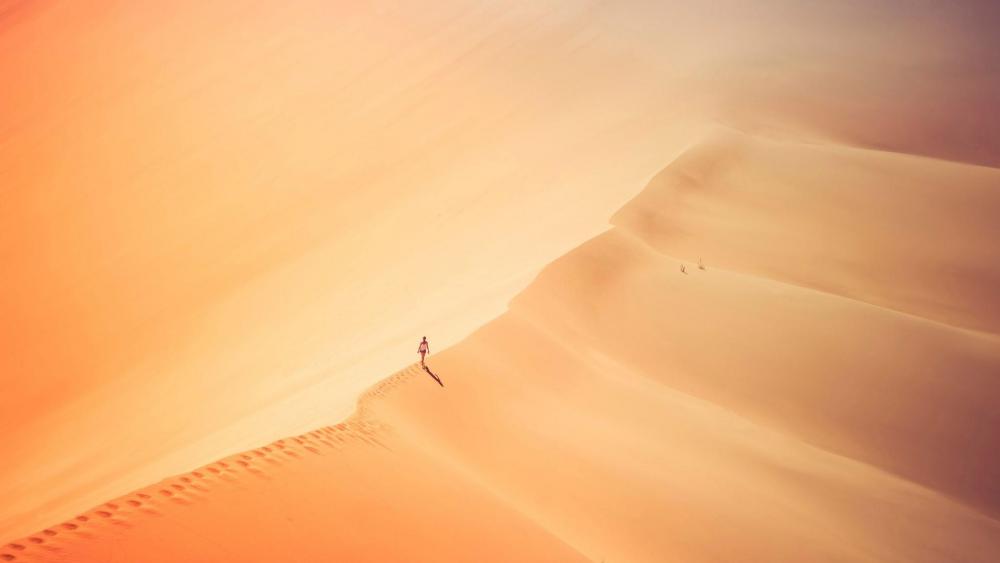 Alone in desert wallpaper