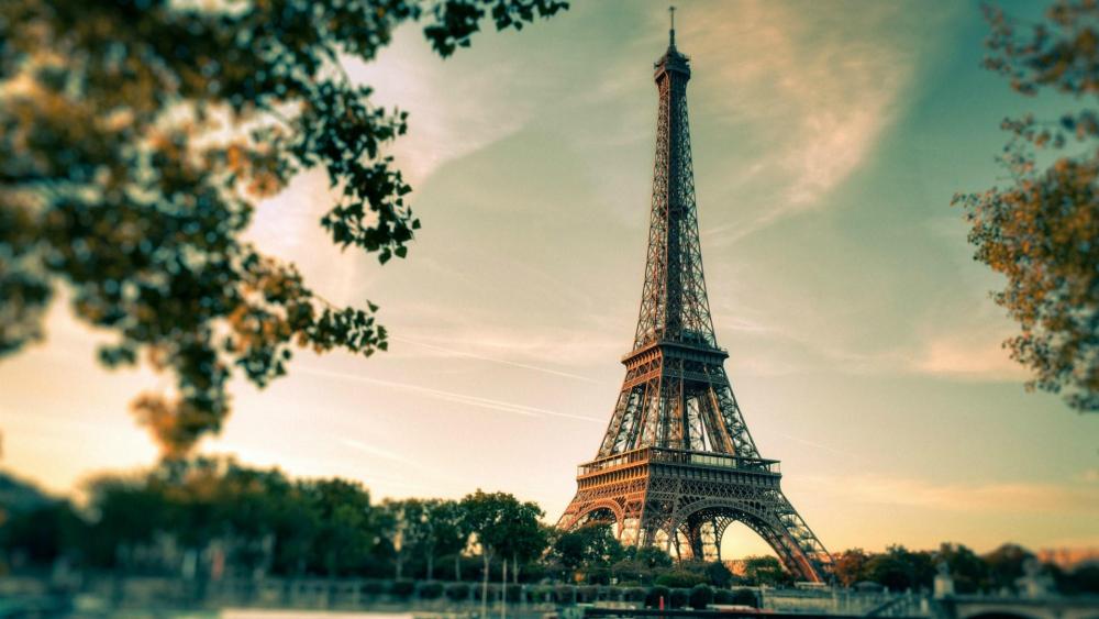 Eiffel Tower from Champ de Mars Park wallpaper