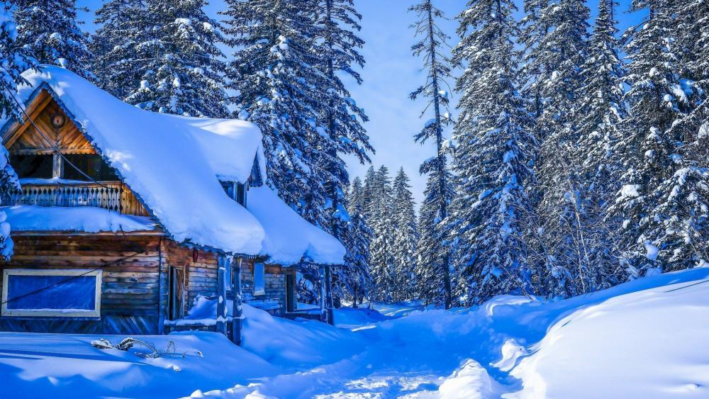 Snowy log cabin in Russia wallpaper