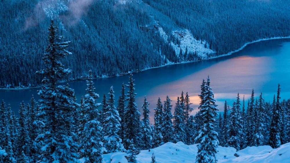 Peyto Lake wallpaper