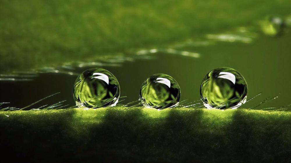 Three drops of water wallpaper