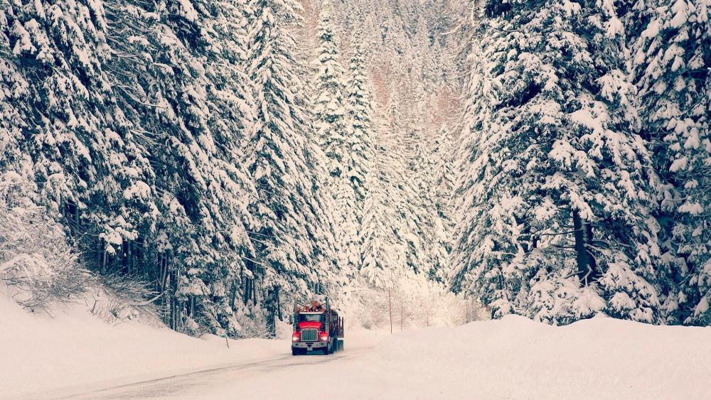 Log truck in the snowy pine forest wallpaper