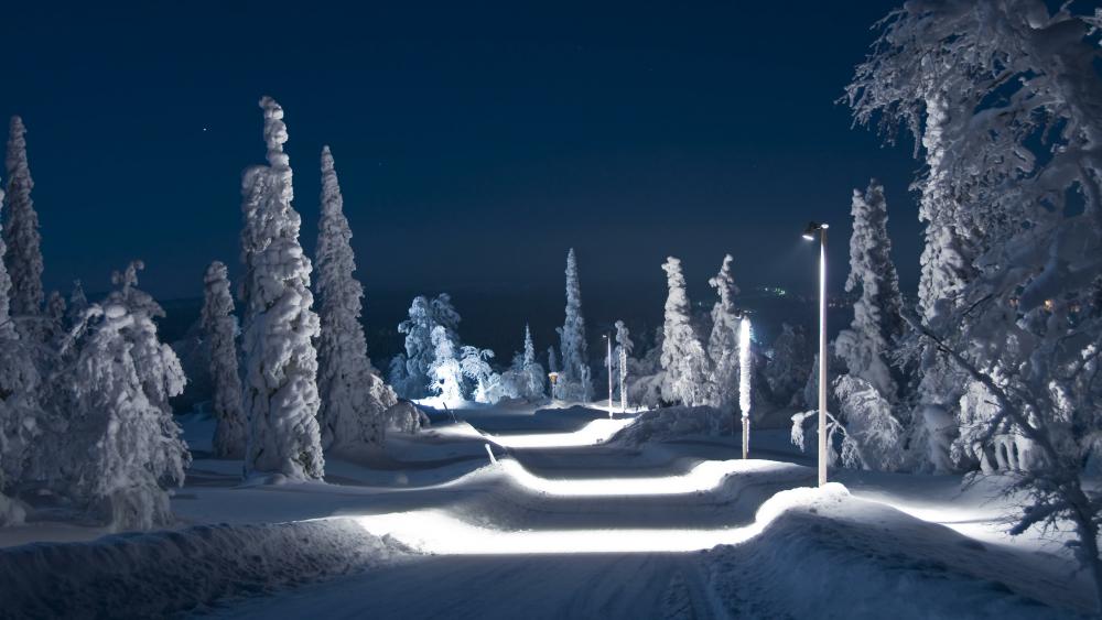 Snowy winter road at night wallpaper