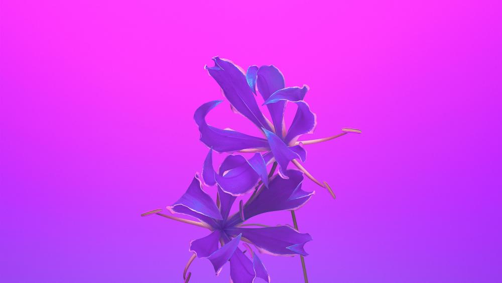 Purple flower illustration art wallpaper