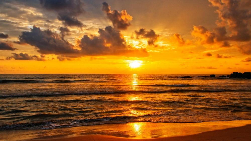 Golden sunset over the Indian Ocean in Sri Lanka wallpaper