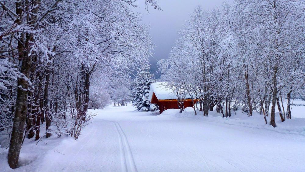 Winter landscape with a snnowy cabin wallpaper