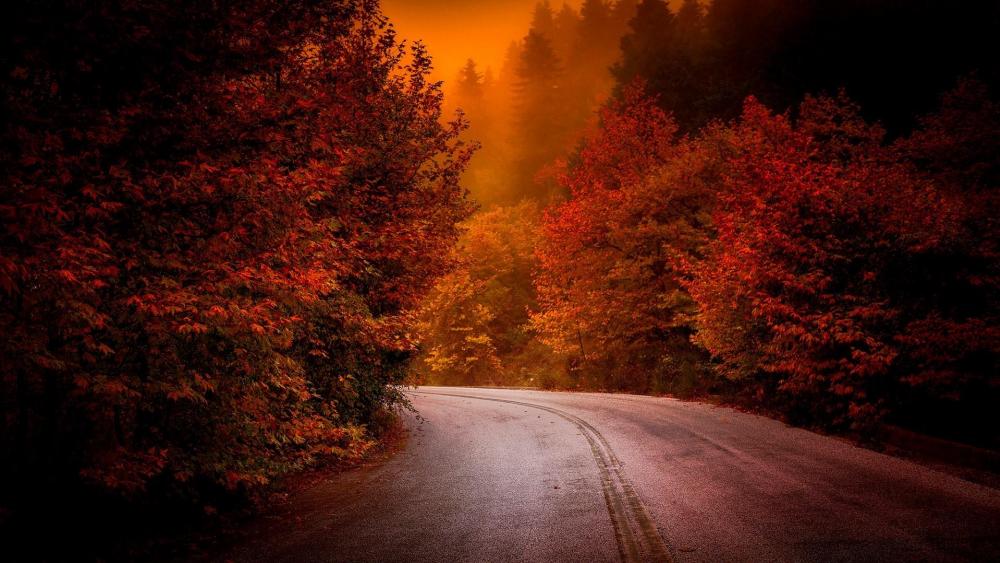 Autumn road at dusk wallpaper