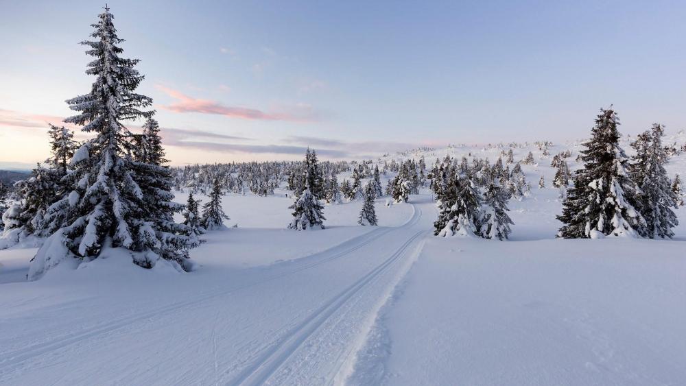 Lillehammer winter landscape wallpaper