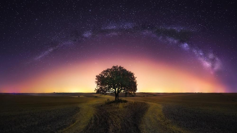 Lone tree under the Milky Way wallpaper