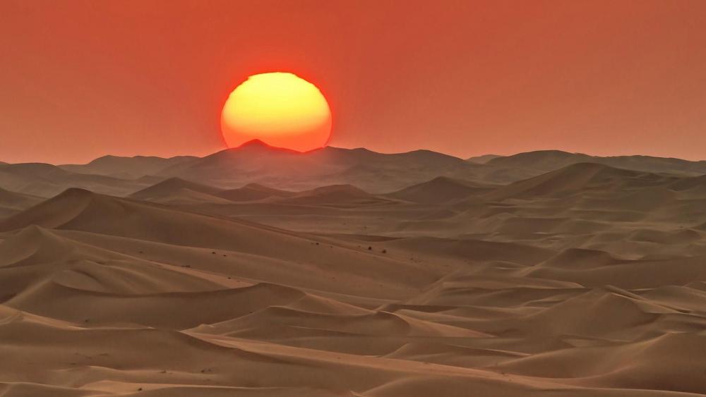 Desert sunrise wallpaper