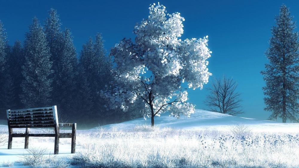 White tree with a bench in winter wallpaper
