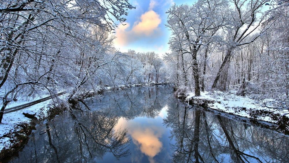 Winter reflection wallpaper