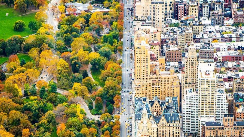 New York and Central Park aerial view wallpaper