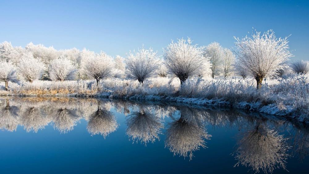 Frozen nature reflection wallpaper