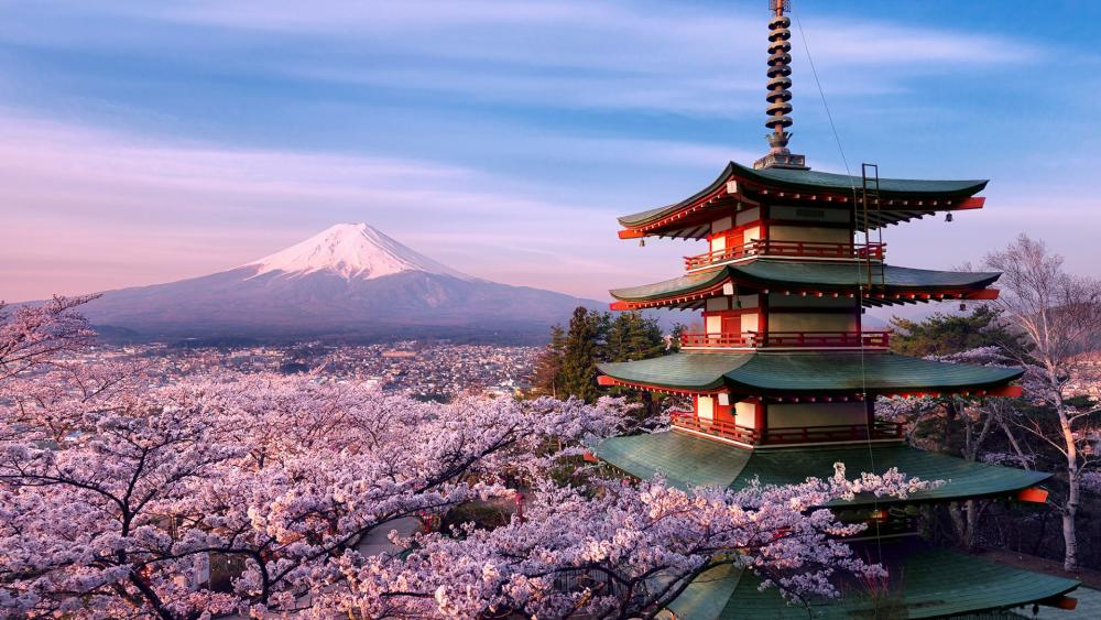 Mount Fuji volcano and Chureito Pagoda wallpaper