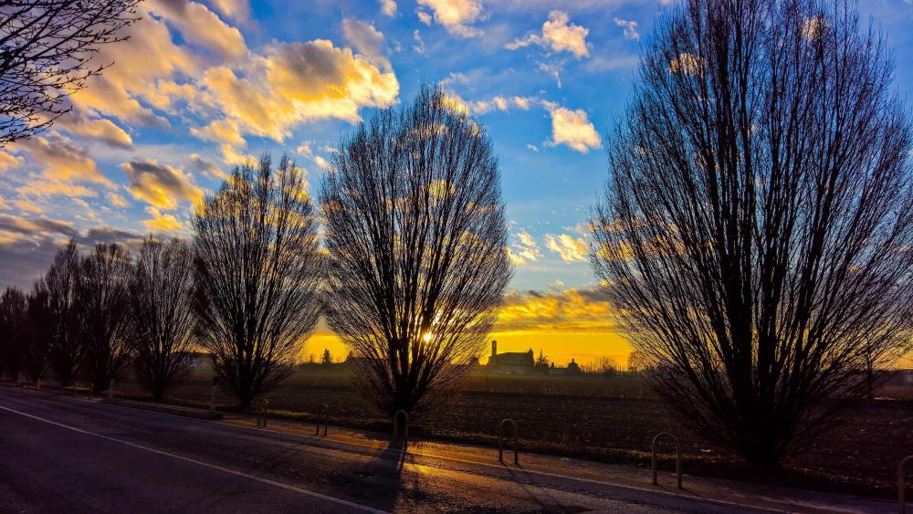 Majestic Evening Skies with Silhouetted Trees wallpaper