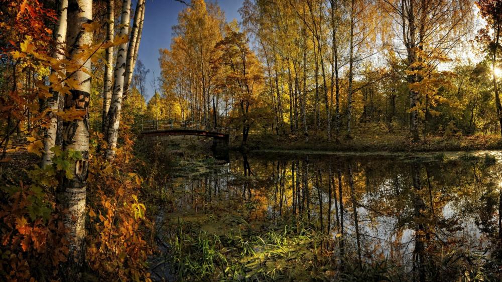Scenic autumn reflection wallpaper