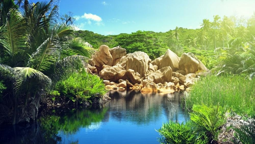 Lake in the jungle (La Digue, Seychelles) wallpaper