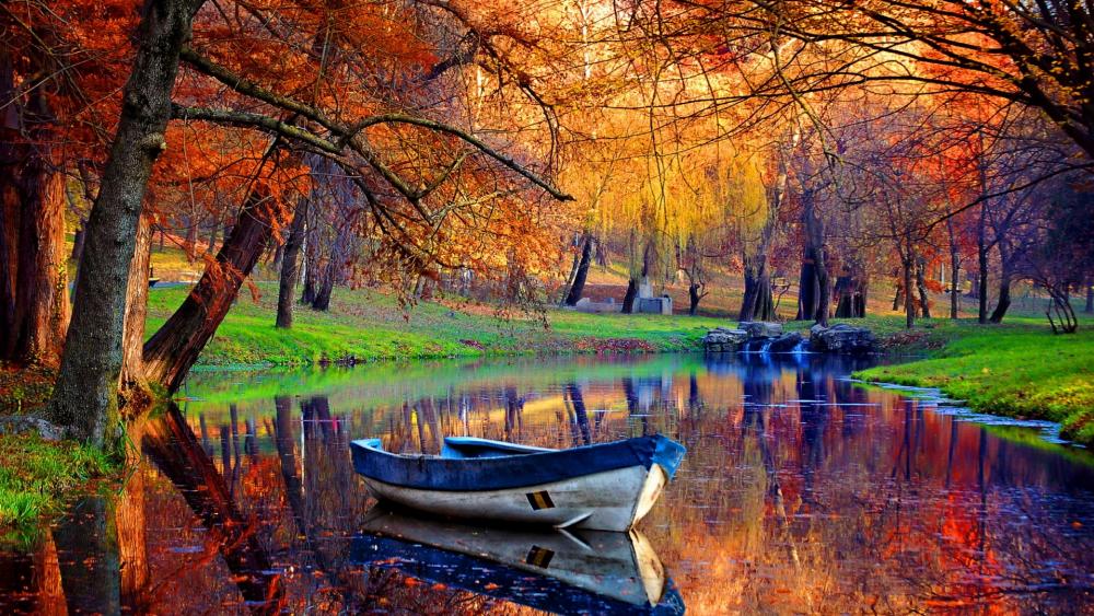 Autumn Serenity on a Calm Canal wallpaper