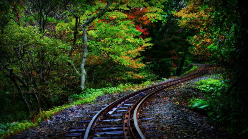 Railroad in the forest wallpaper