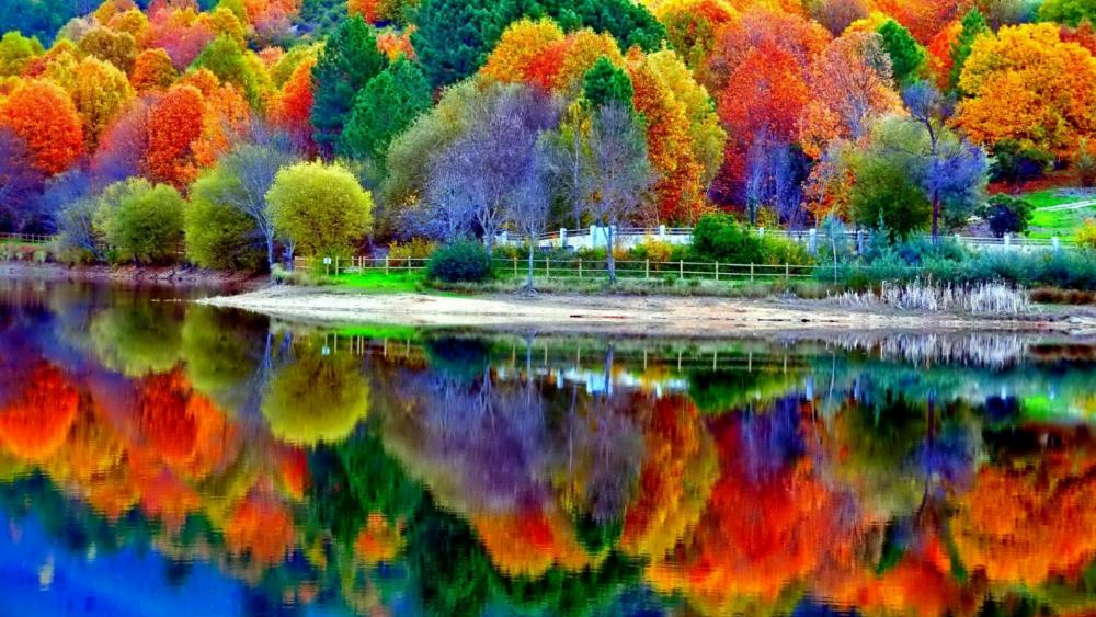 Beautiful autumn lake reflection wallpaper