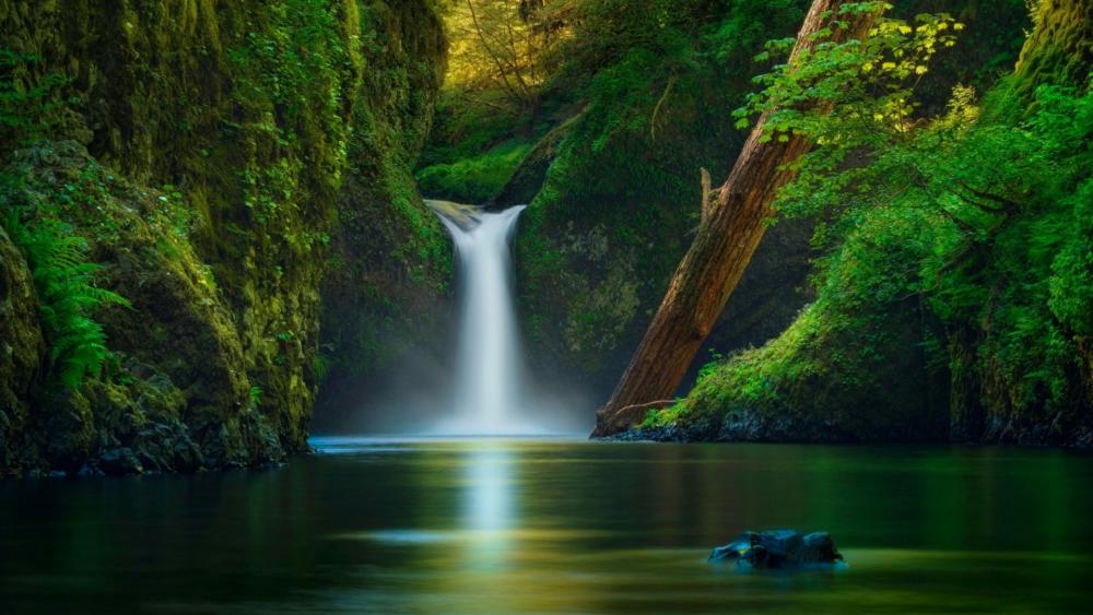 Punch Bowl Falls (Columbia River Gorge National Scenic Area) wallpaper