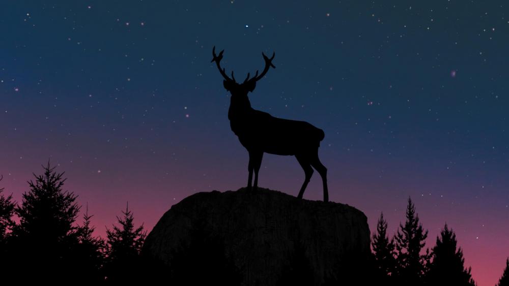 Deer silhouette wallpaper