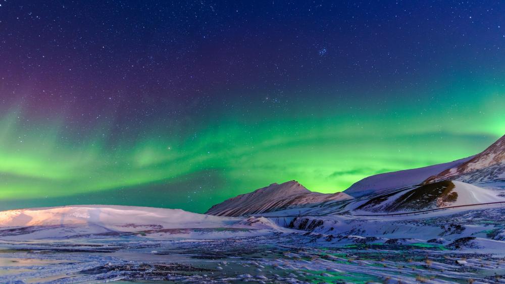 Polar lights in Norway wallpaper