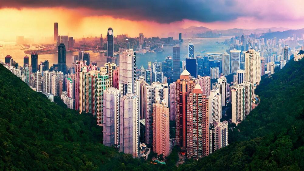 Hong Kong skyscrapers from Victoria Peak wallpaper