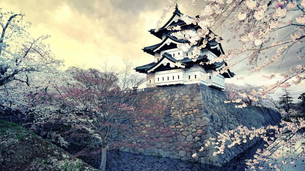 Hirosaki Castle cherry blossom wallpaper