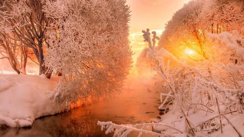 Winter sunrise over the river wallpaper
