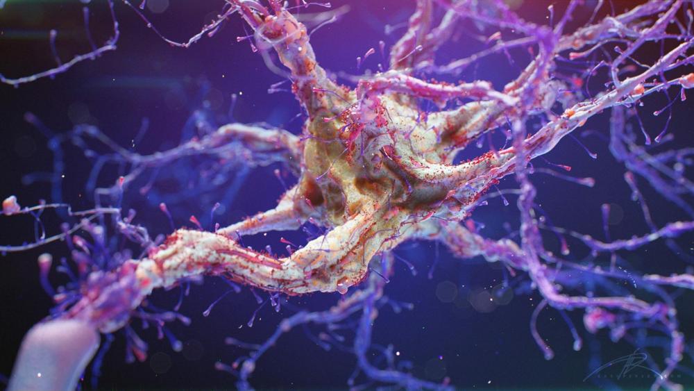 Neural Network Microscope Imagery wallpaper