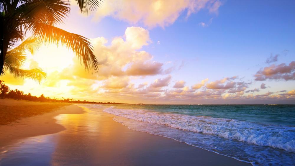 Tropical beach sunrise wallpaper
