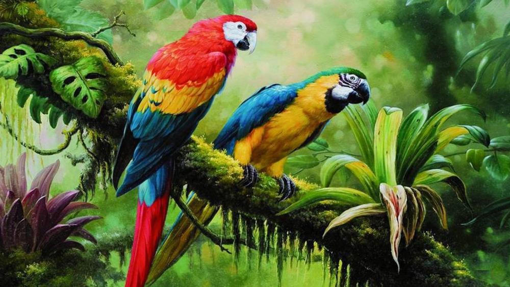 Parrot couple painting art wallpaper
